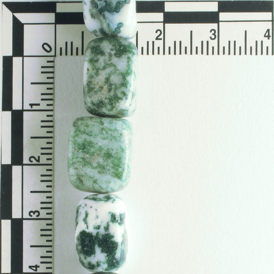 Tree Agate - 8" strand