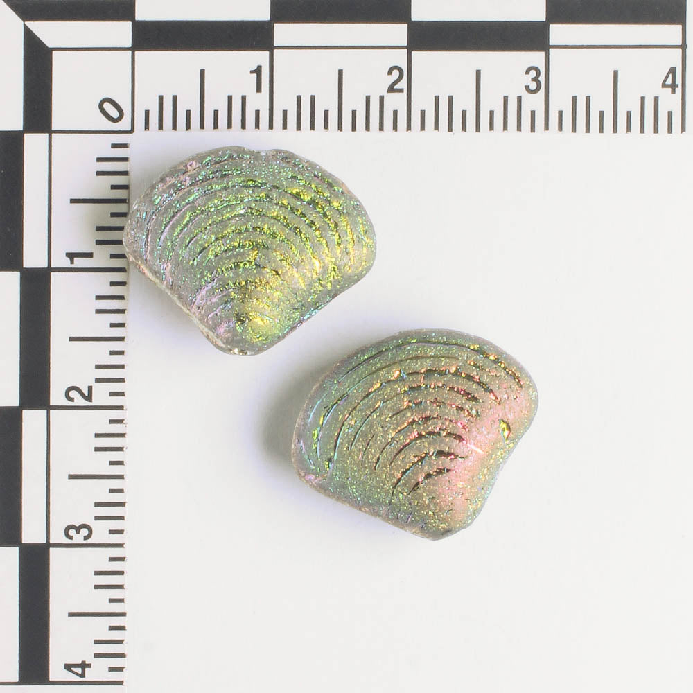 15x18mm Seashell Bead Etched Rainbow