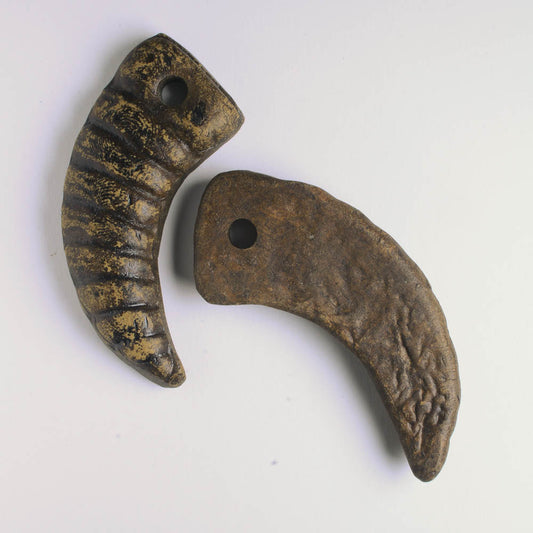 Brown Claw Focal