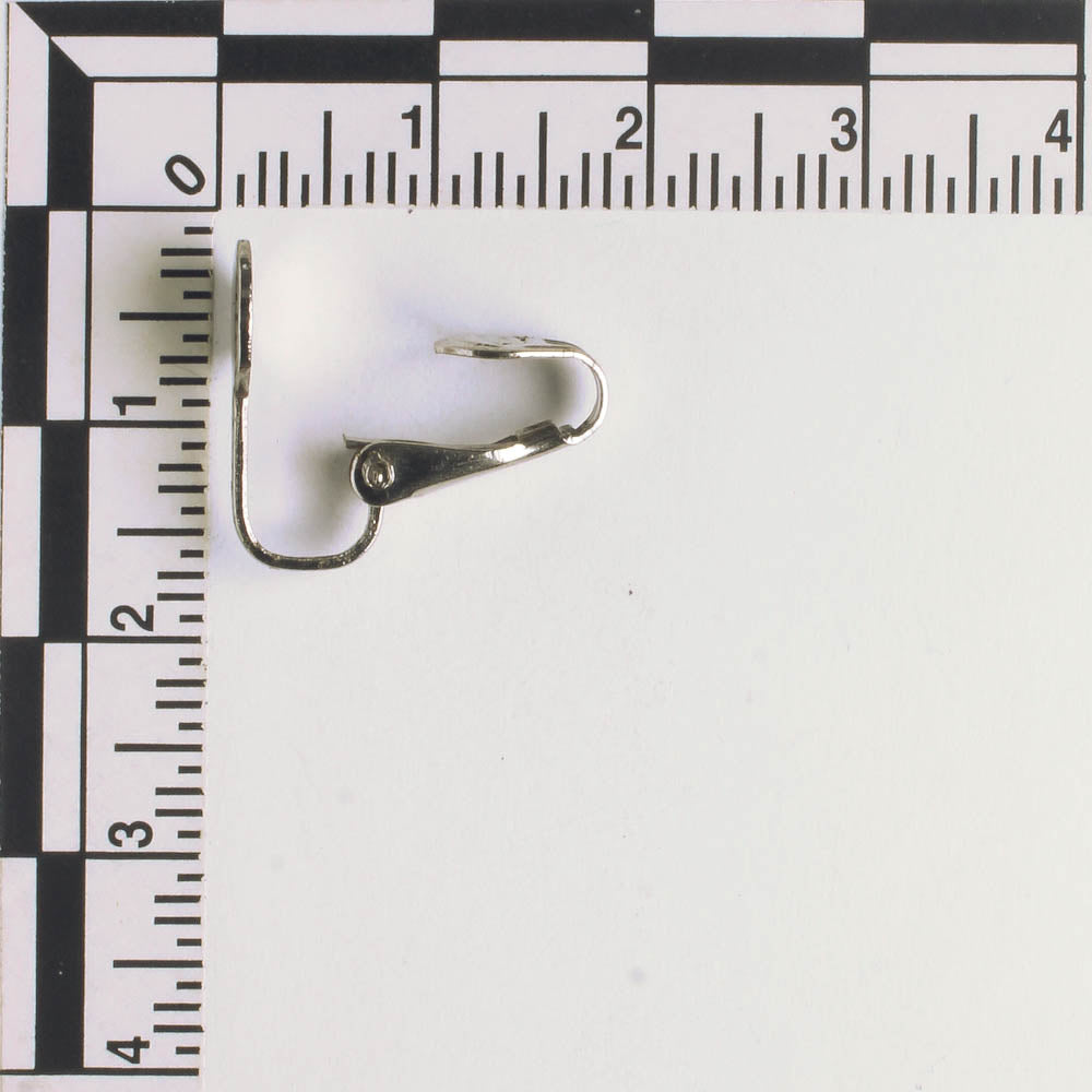 Earring - Silver - Pair