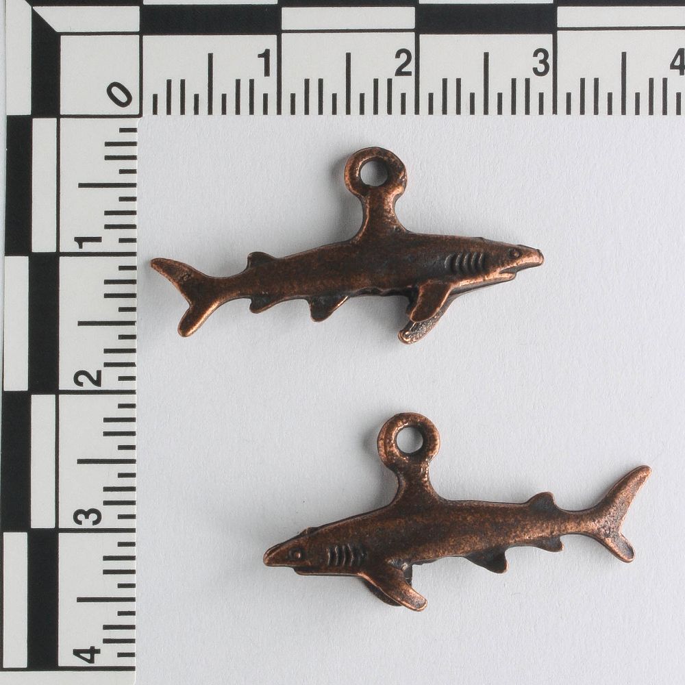 Charm - Shark