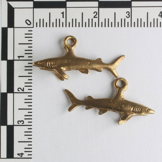 Charm - Shark