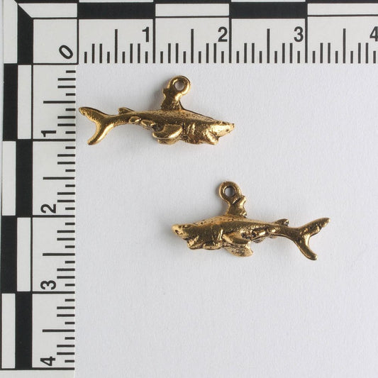 Charm - Shark