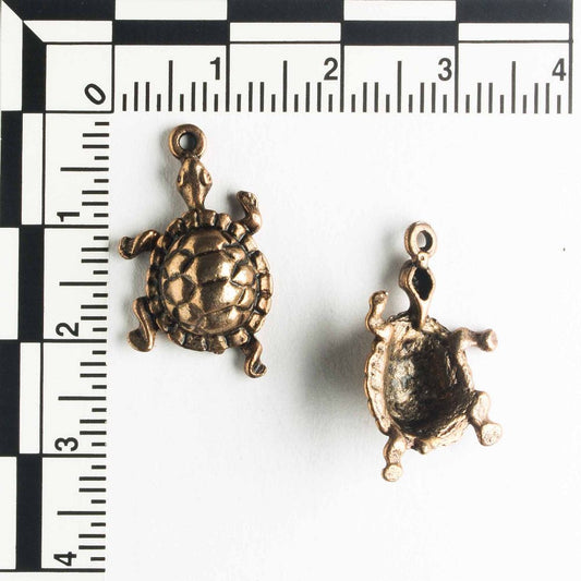 Charm - Turtle
