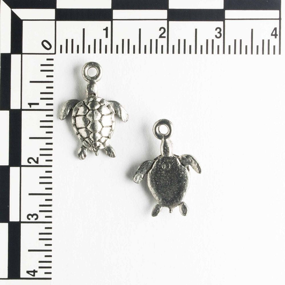 Charm - Turtle