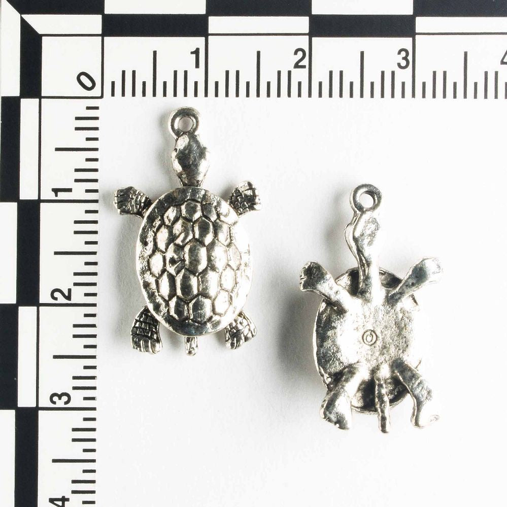 Charm - Turtle