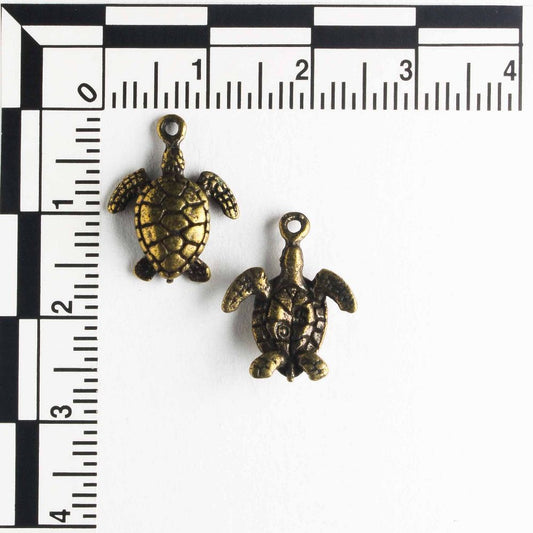 Charm - Turtle