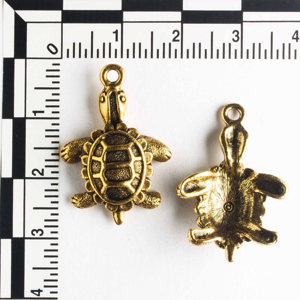 Charm - Turtle