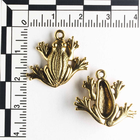 Charm - Frog