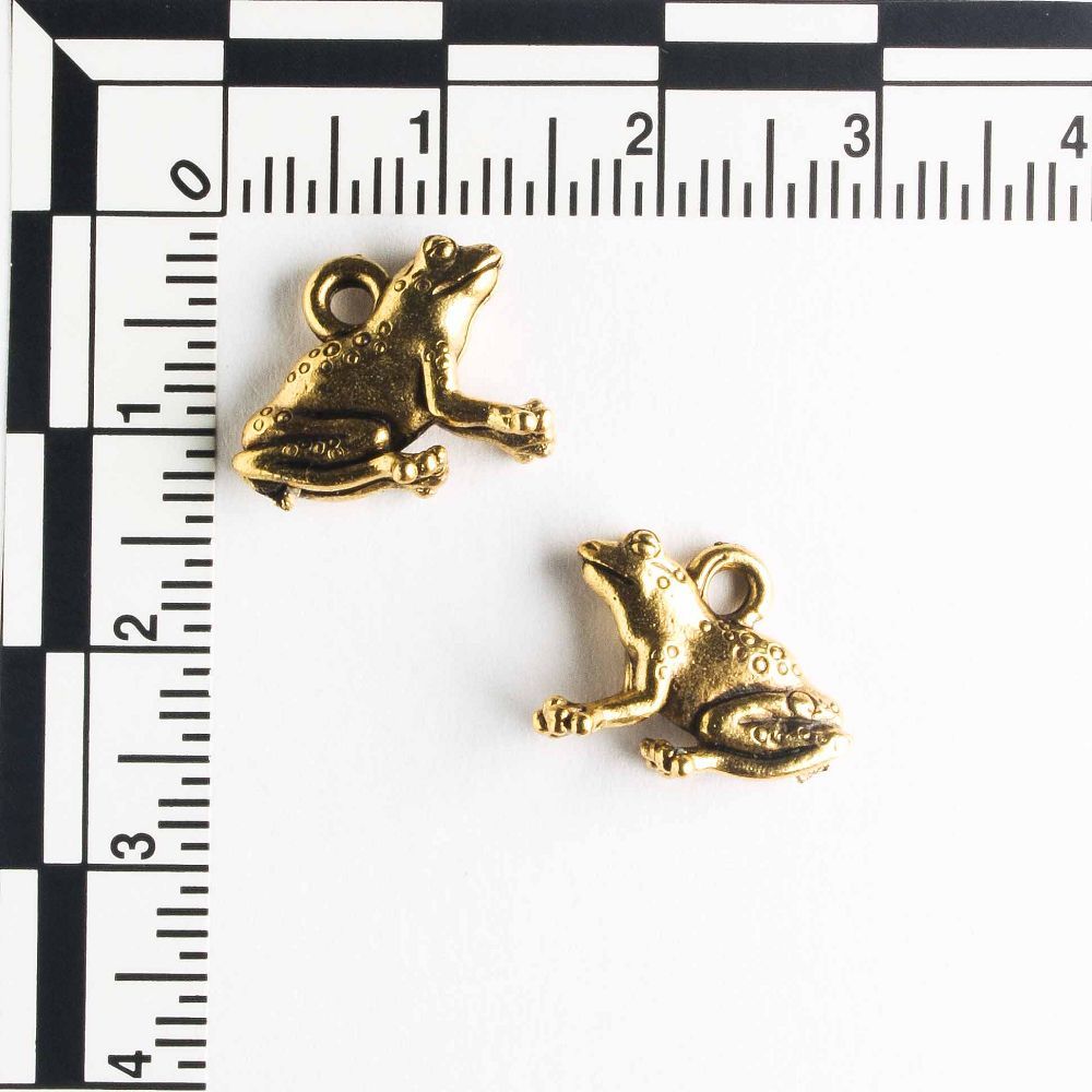 Charm - Frog