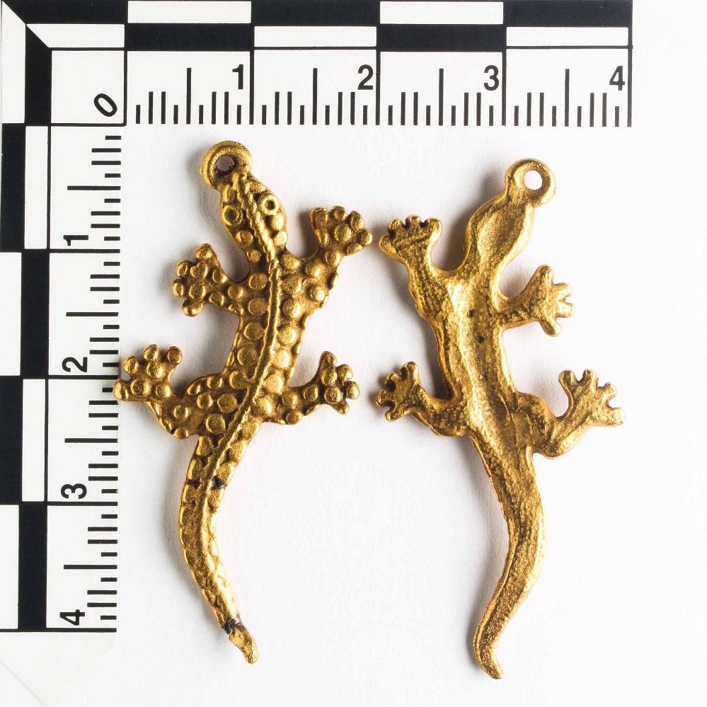 Charm - Lizard
