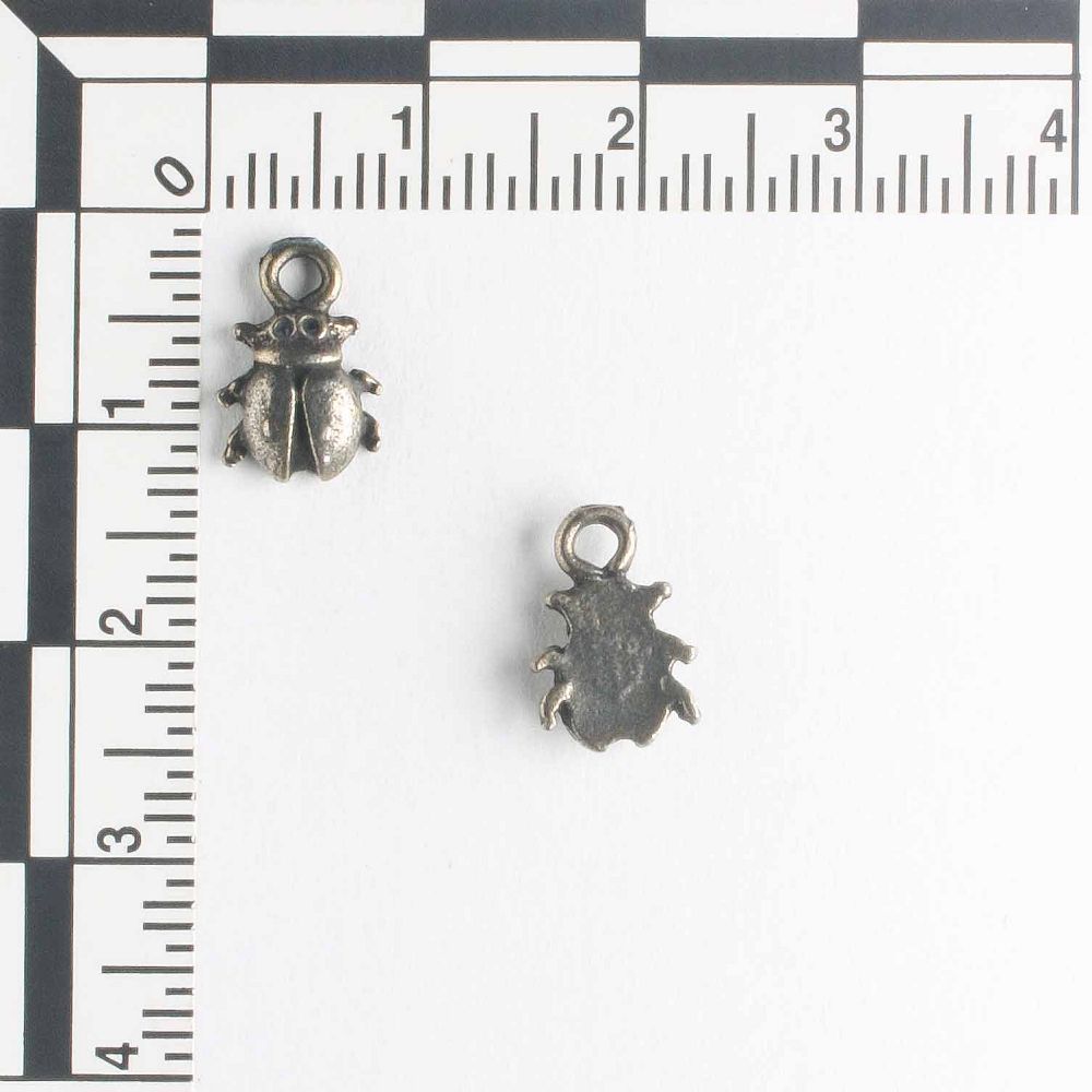 Charm - Beetle