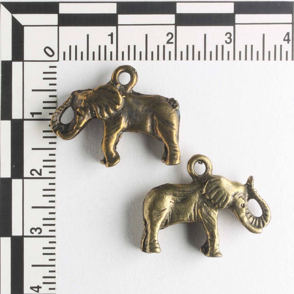 Charm - Elephant