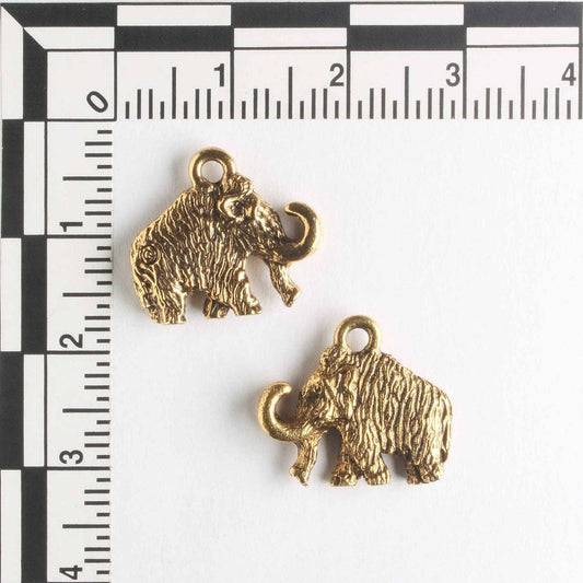 Charm - Elephant