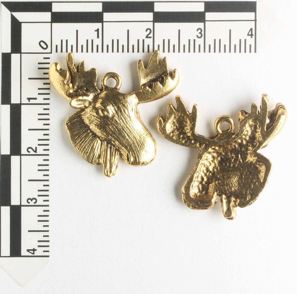 Charm - Moose