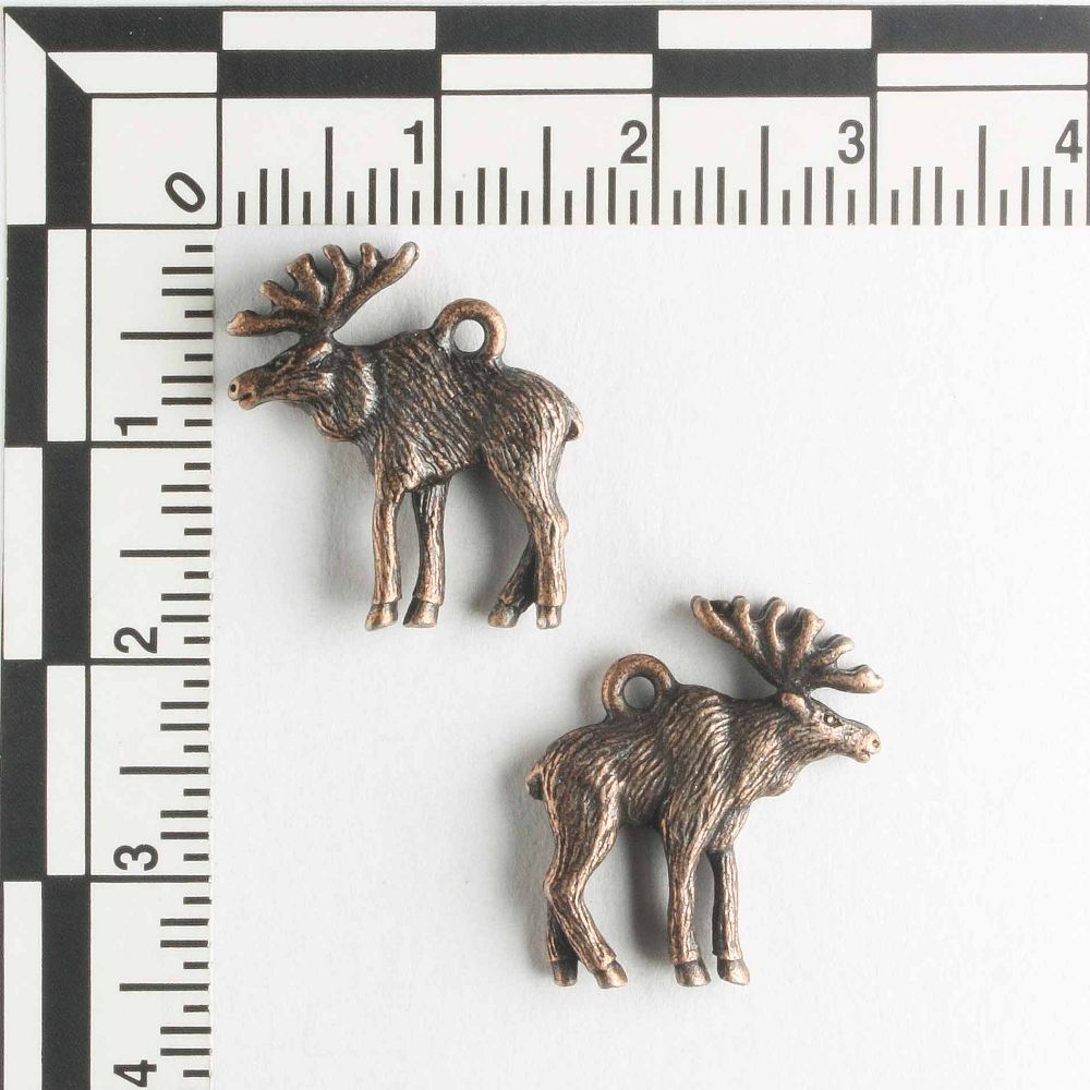 Charm - Moose