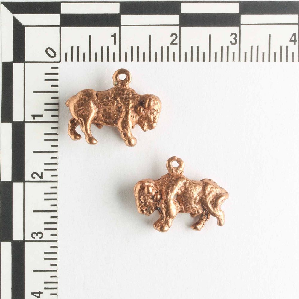 Charm - Bison