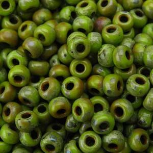 8-4515 Picasso Chartreuse Matte