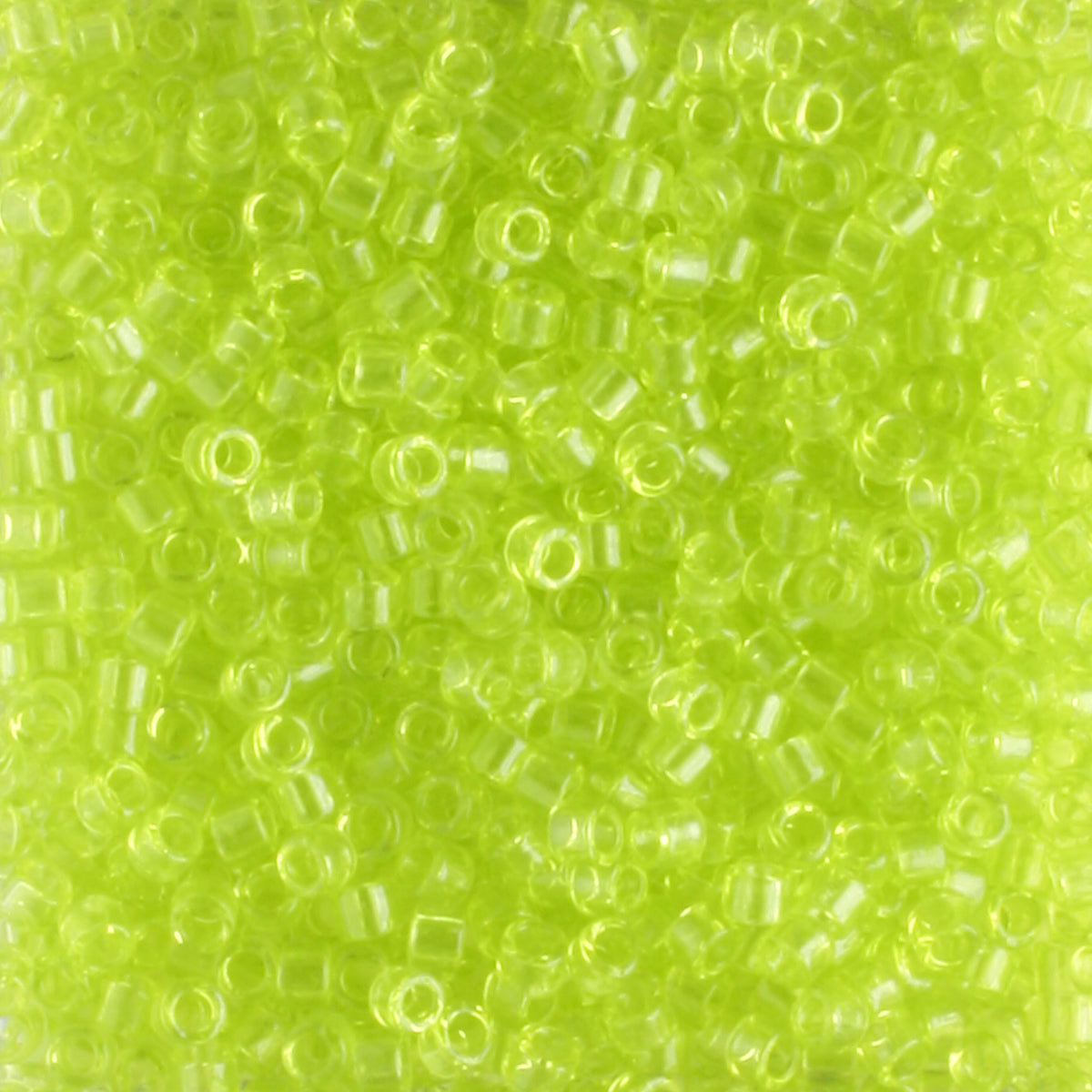 DB0712 Transparent Light Daffodil