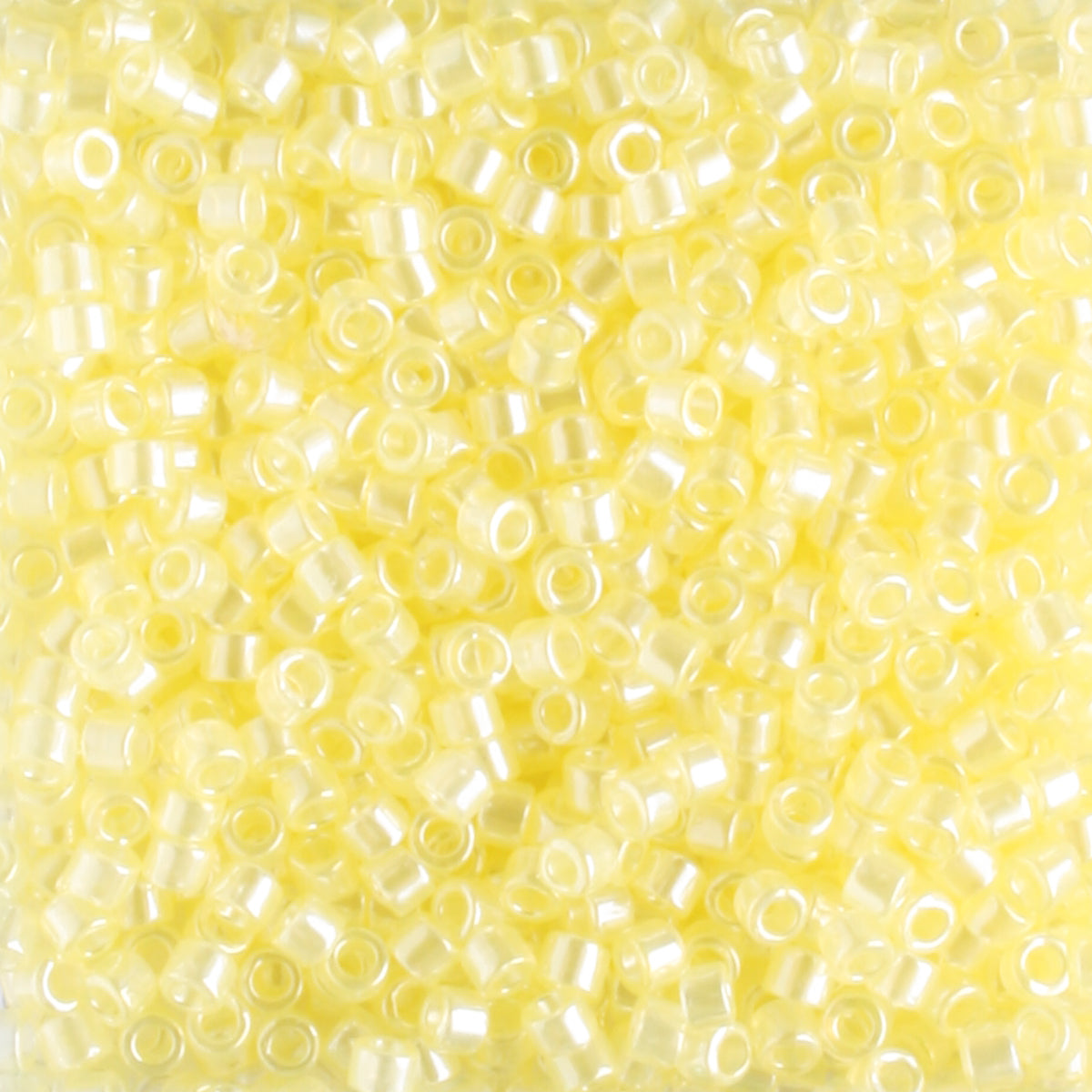 DB1471 Transparent Luster Daffodil (Discontinued)