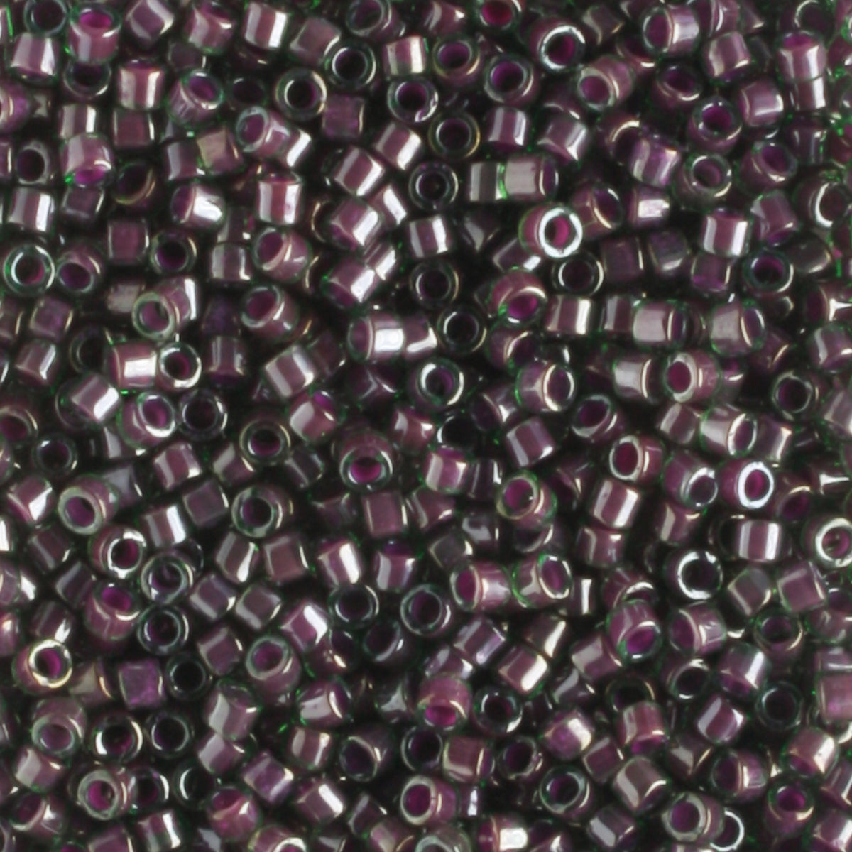 DB0279 Color Lined Green Maroon