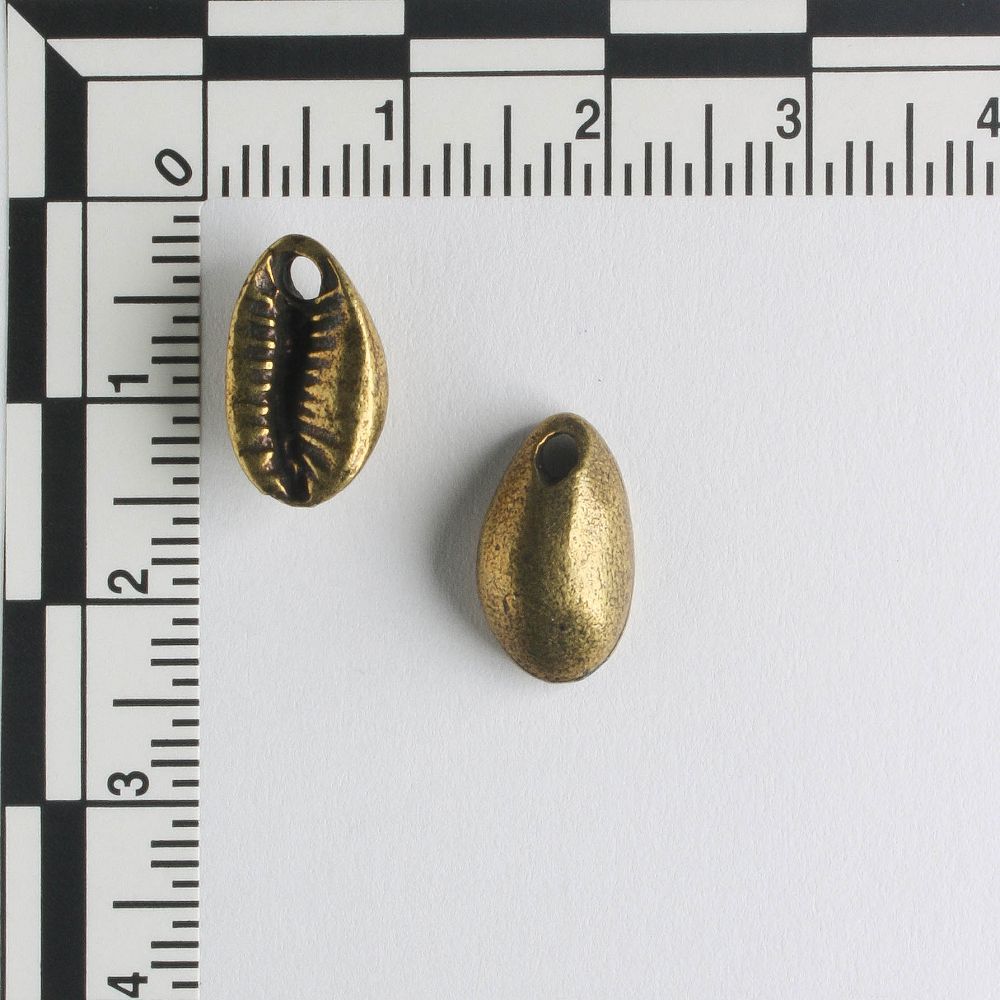 Charm - Cowrie Shell