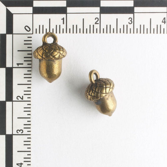 Charm - Acorn
