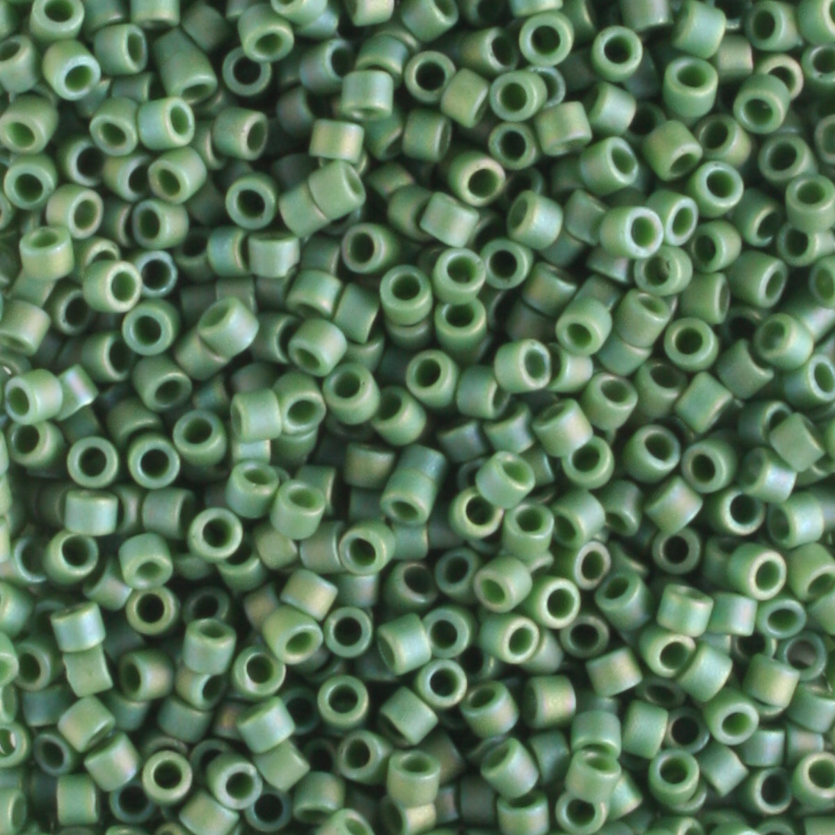 DB2312 Parakeet Green