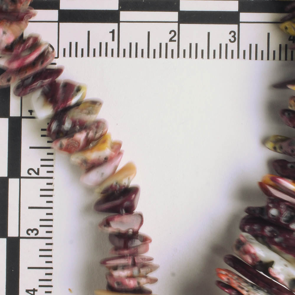 Semi Precious Chip Beads