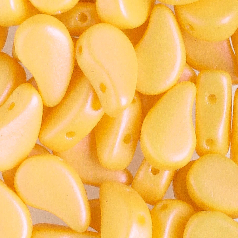 Paisleyduo Tutti Frutti Banana - 10 grams