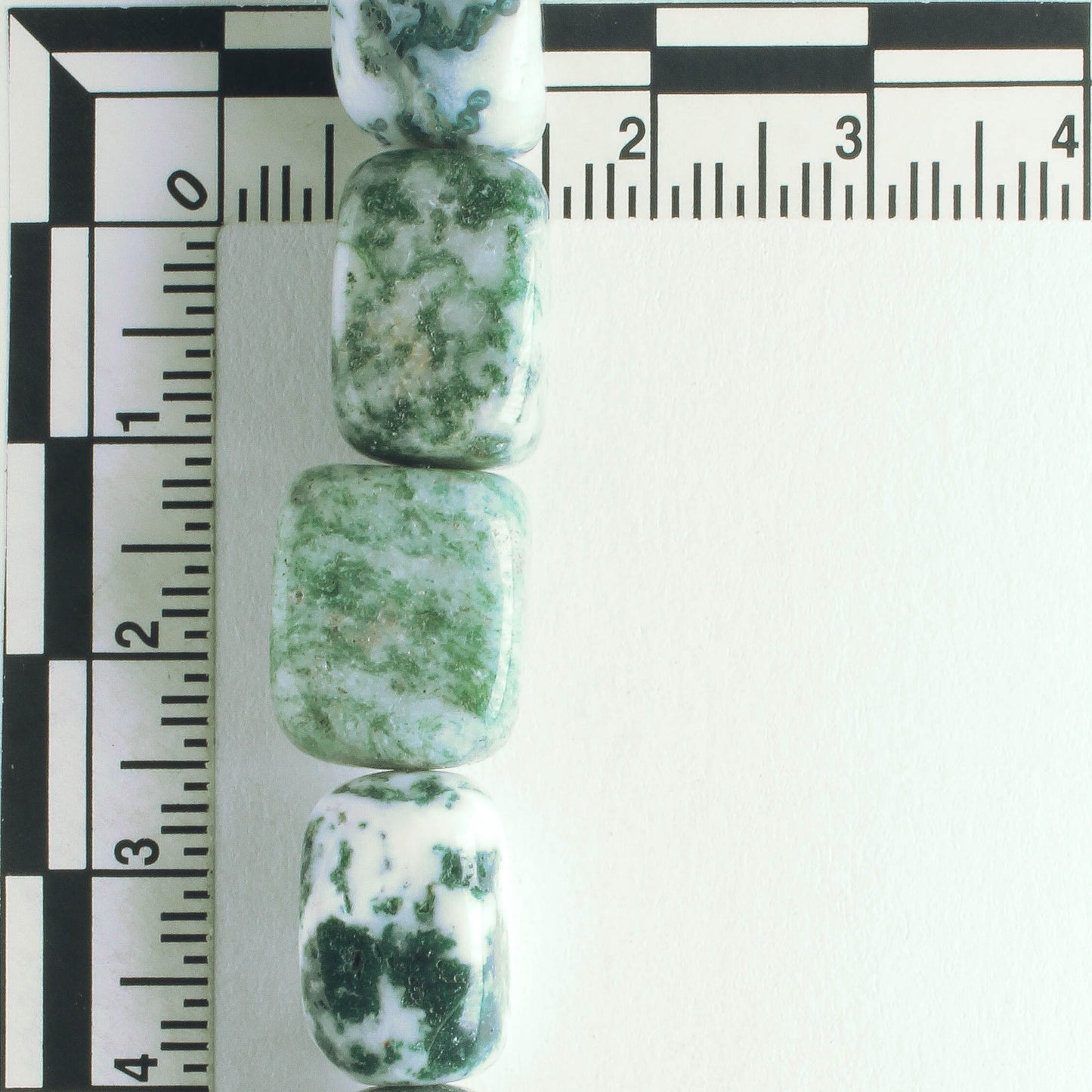 Tree Agate - 8" strand