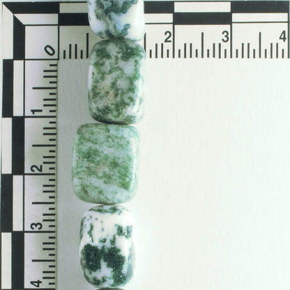 Tree Agate - 8" strand