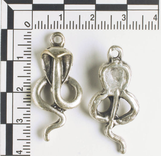 Charm - Snake