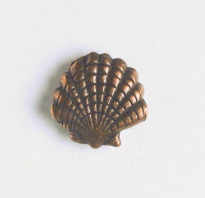 Bead - Shell