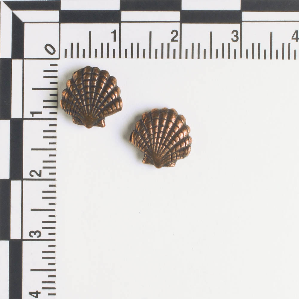 Bead - Shell
