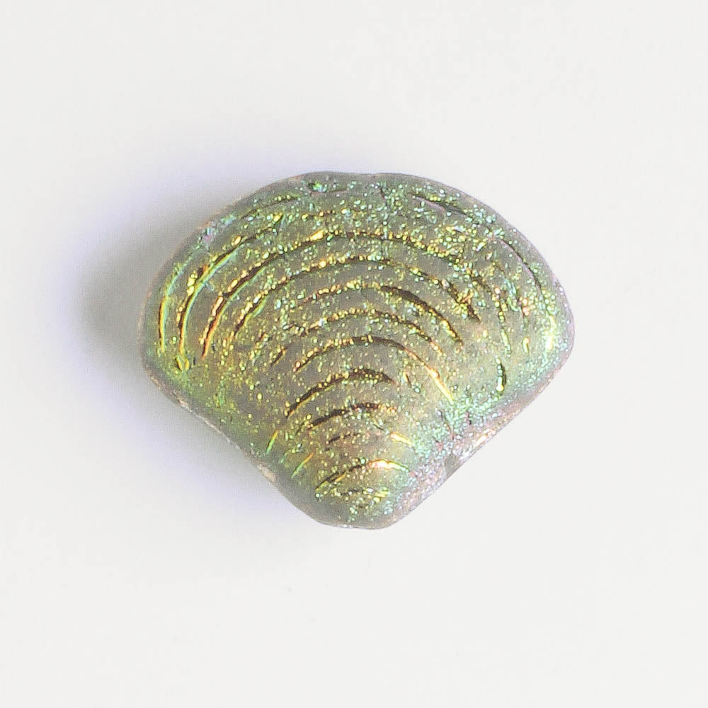 15x18mm Seashell Bead Etched Rainbow