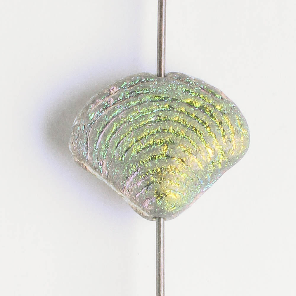 15x18mm Seashell Bead Etched Rainbow