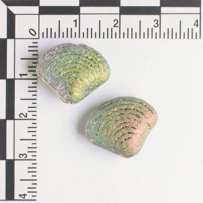 15x18mm Seashell Bead Etched Rainbow