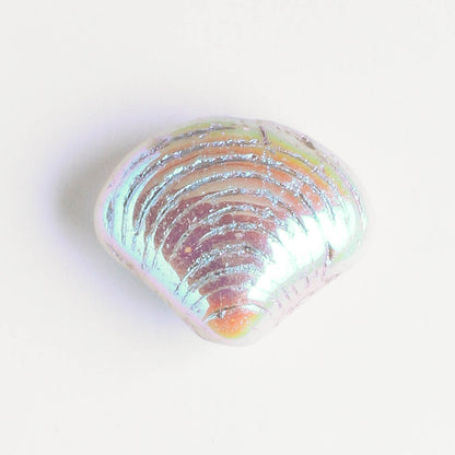 15x18mm Seashell Bead Ivory Rainbow