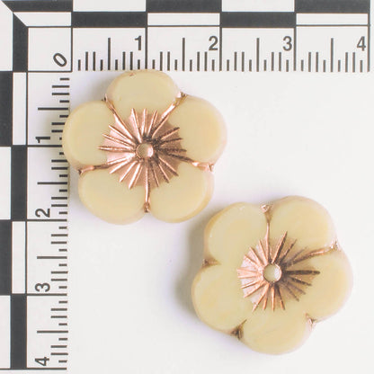 21mm Hibiscus Flower - Beige and Copper - each