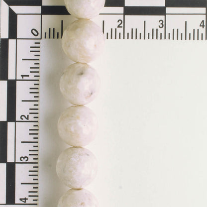 Fossil Jade - 8" strand