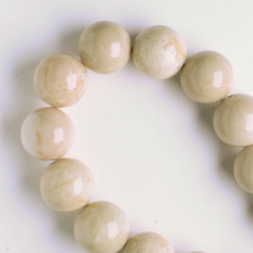 Fossil Jade - 8" strand