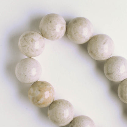 Fossil Jade - 8" strand