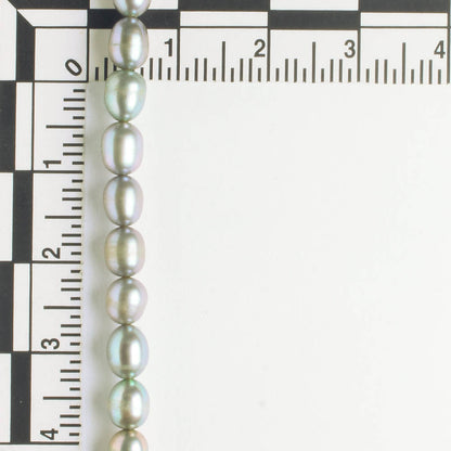 Freshwater Pearls - 8" strand