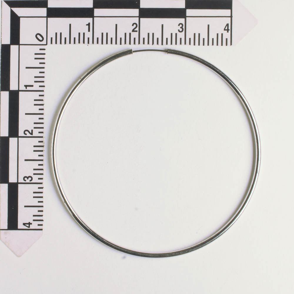 Earring - Silver - Pair