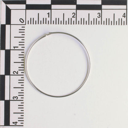 Earring - Silver - Pair