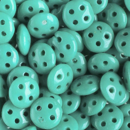 QuadraLentil Persian Turquoise - 10 grams