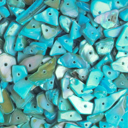 Semi Precious Chip Beads