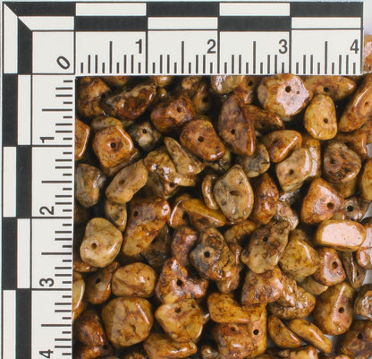 Semi Precious Chip Beads