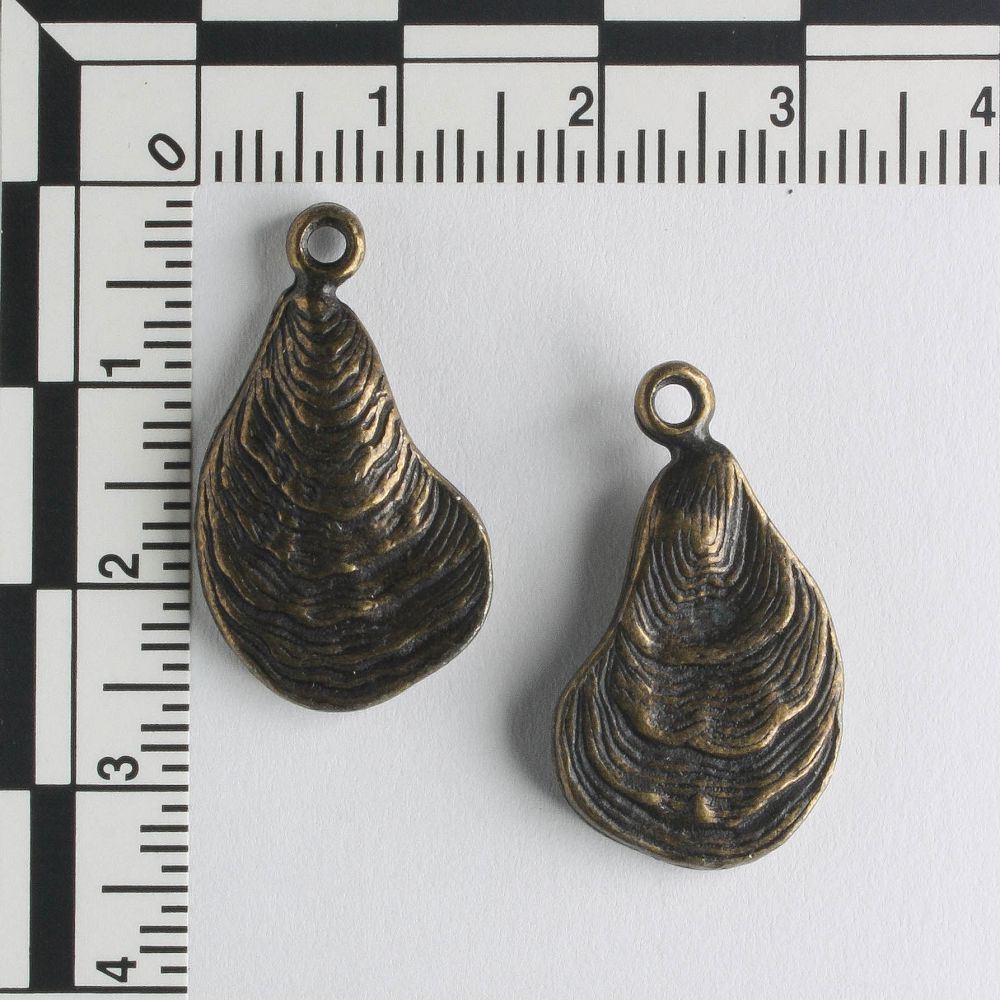 Charm - Shell